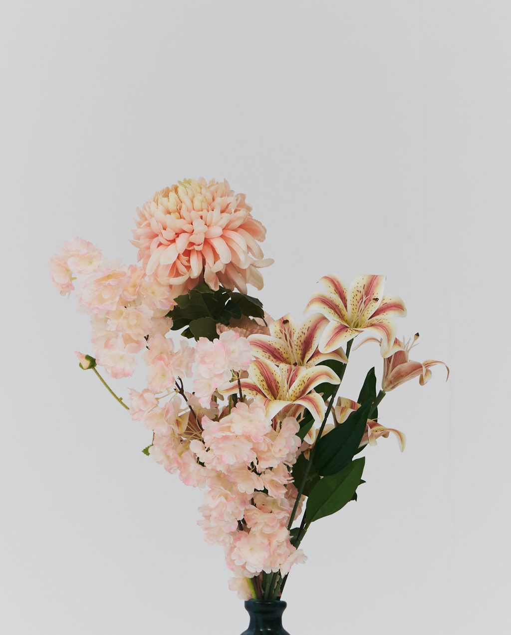 PLANTS 21
