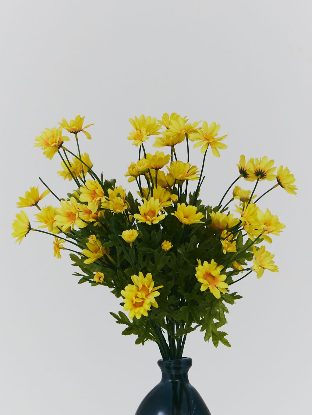 PLANTS 18