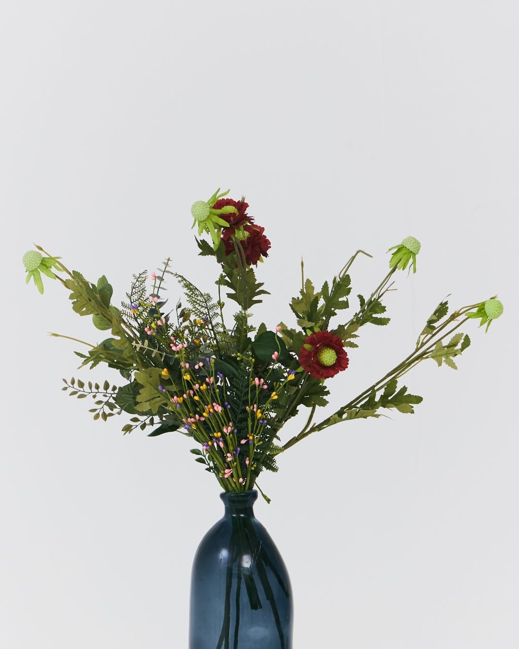 PLANTS 19