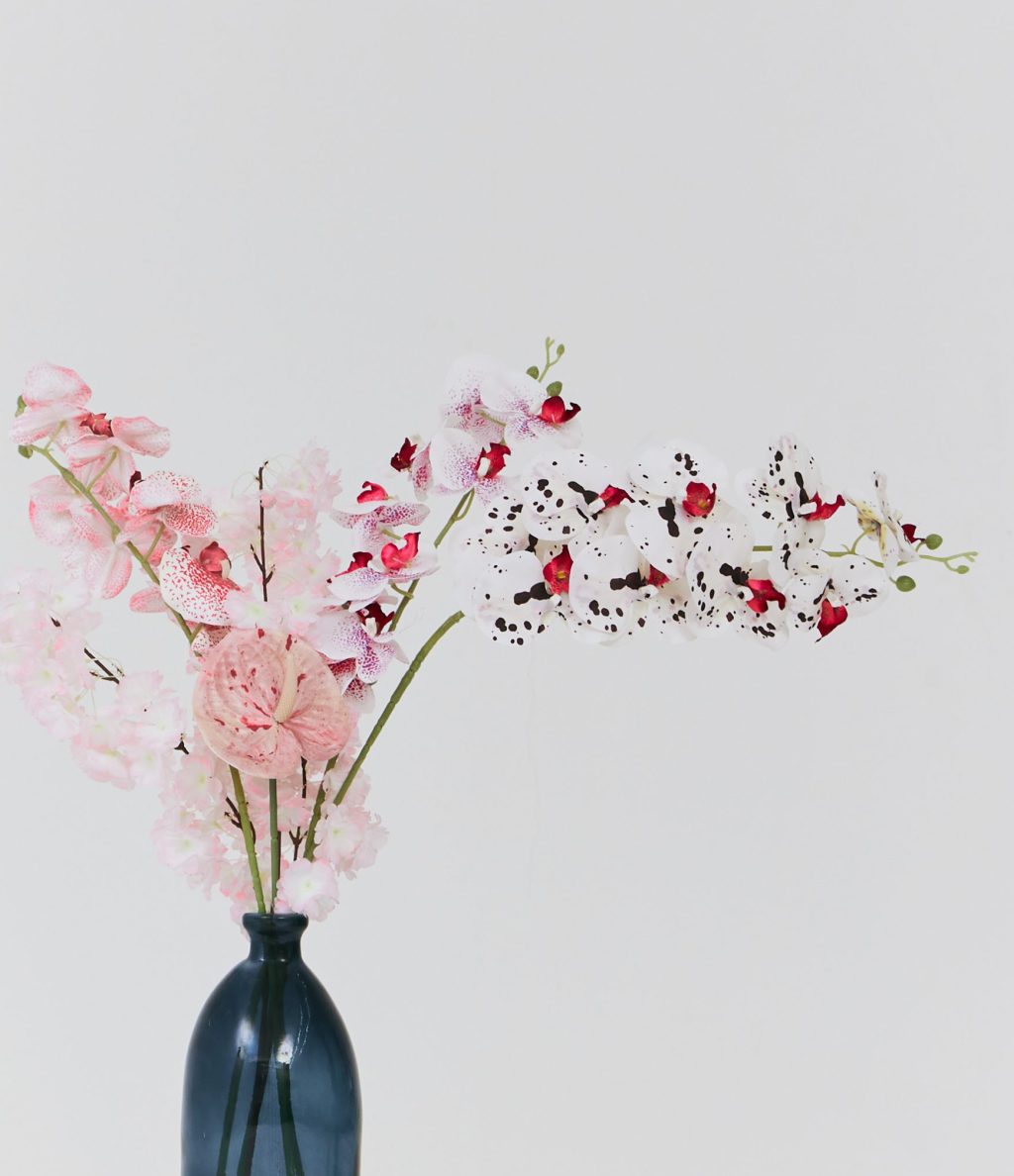 PLANTS 20