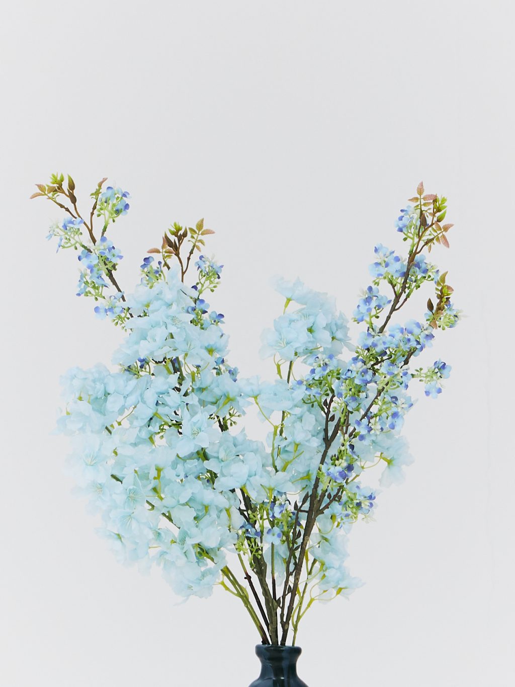 PLANTS 22