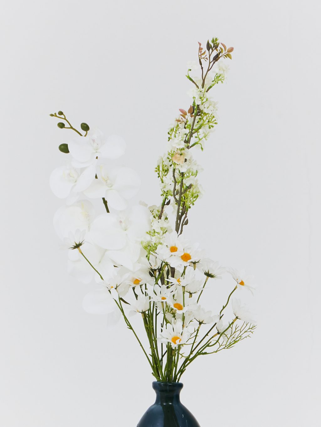 PLANTS 24