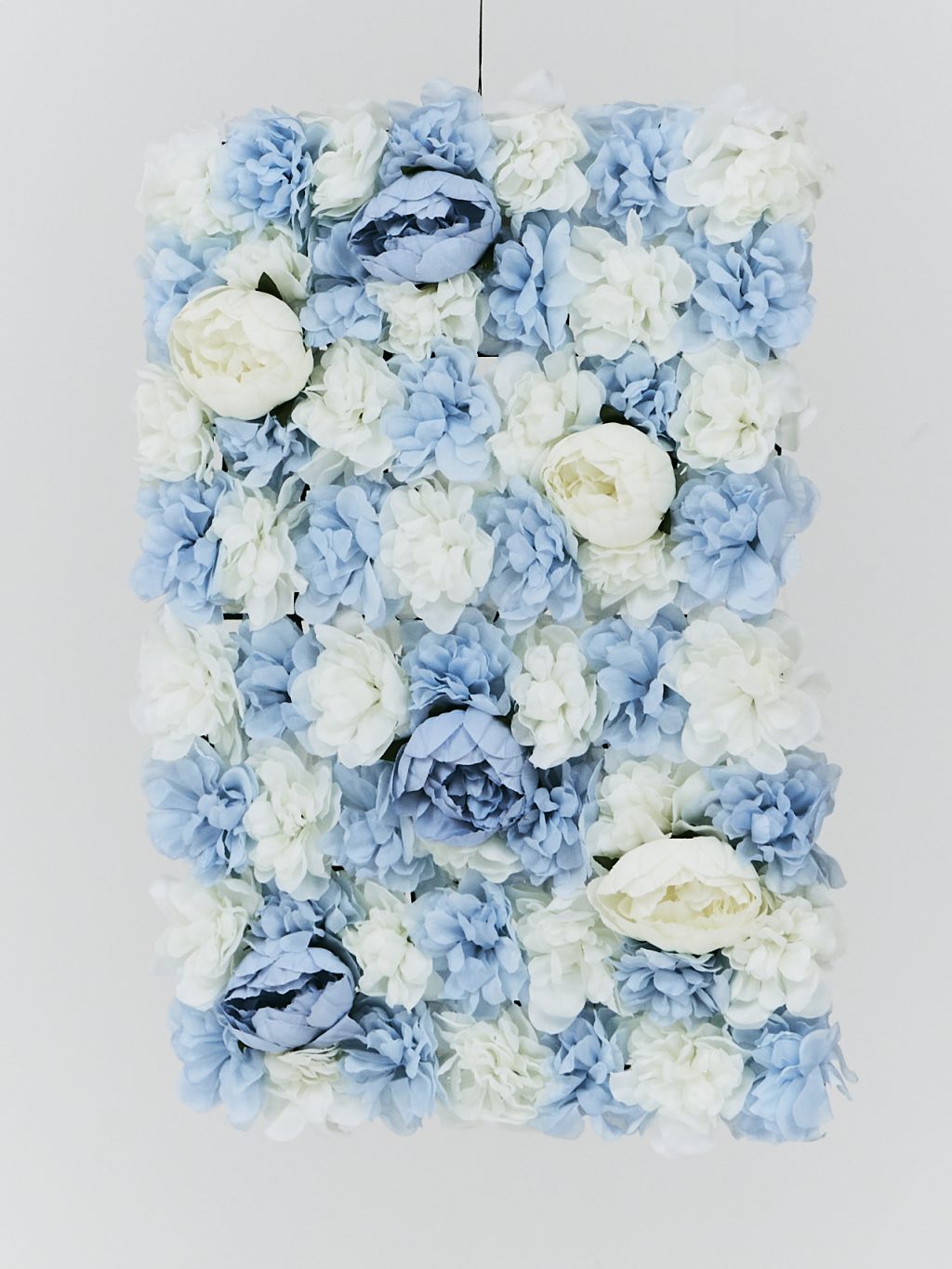 PLANTS 28