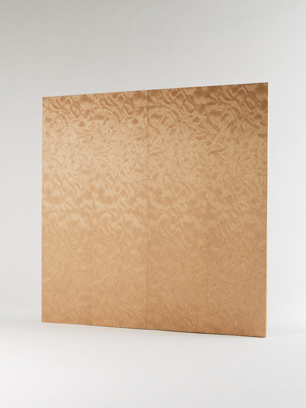 PANEL 20
